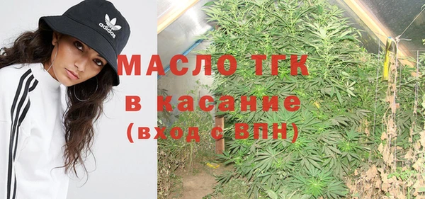 стафф Вязьма