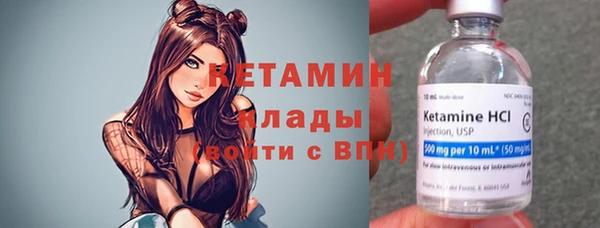 стафф Вяземский