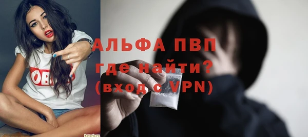 стафф Вяземский
