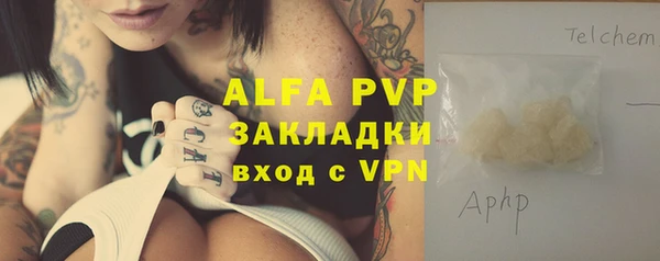 стафф Вязьма