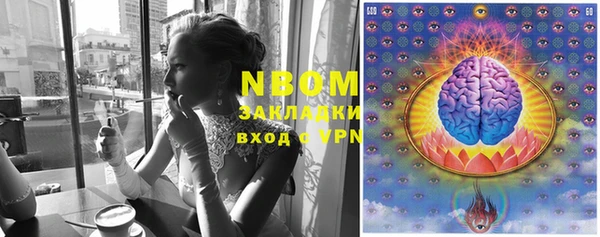 стафф Вяземский