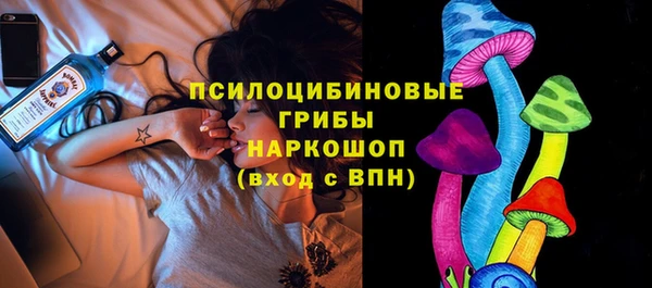 стафф Вязьма