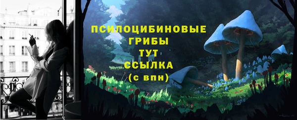 стафф Вяземский