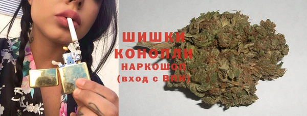 стафф Вязьма