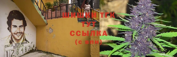 стафф Вязьма