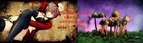 стафф Вязьма